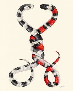 Ryan Berkley Illustration Indie Art Prints Always And Forever Snakes Art Print (8" X 10")
