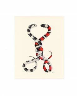Ryan Berkley Illustration Indie Art Prints Always And Forever Snakes Art Print (8" X 10")