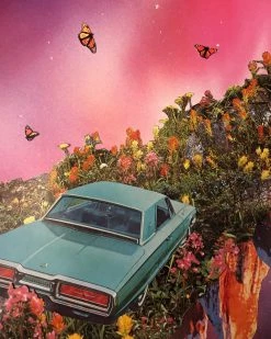 Cactus Food Indie Art Prints A Long Strange Trip Art Print (11" X 17")