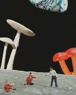 Cactus Food Indie Art Prints Sharing Is Caring Art Print (11" X 17")