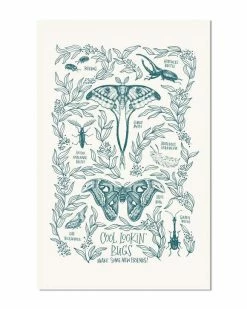 Frog And Toad Press Cool Lookin' Bugs Art Print (11" X 17")