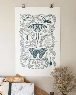 Frog And Toad Press Cool Lookin' Bugs Art Print (11" X 17")