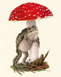 Ryan Berkley Illustration Embrace This Place Frog & Mushroom Art Print (8" X 10") Home