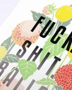 ILootPaperie Indie Art Prints Fuck Shit Balls Art Print (11" X 14")