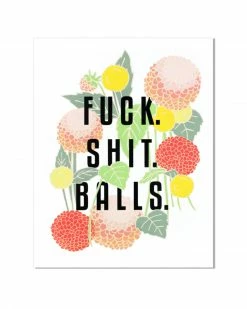 ILootPaperie Indie Art Prints Fuck Shit Balls Art Print (11" X 14")