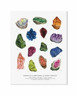 The Wild Wander Minerals & Gemstones Art Print (11" X 14")