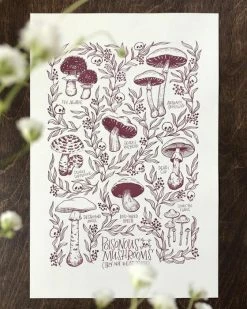 Frog And Toad Press Home Poisonous Mushrooms Art Print (11