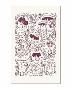 Frog And Toad Press Home Poisonous Mushrooms Art Print (11" X 17")