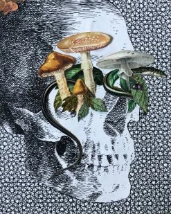 Cactus Food A Strange World Art Print (8.5" X 8.5") Indie Art Prints