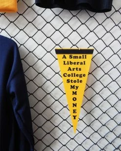 Hungry Ghost Press College Theft Liberal Arts Small Pennant Wall Banners + Pennants