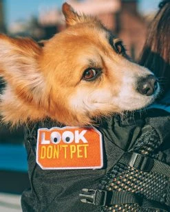 Oxford Pennant Look, Don't Pet Dog Patch Pins + Patches