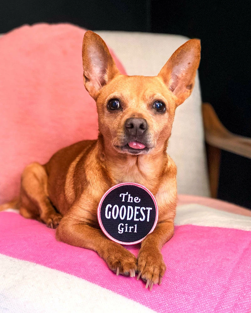 Oxford Pennant Pins + Patches The Goodest Girl Dog Patch 2 Oxford Pennant Pins + Patches The Goodest Girl Dog Patch