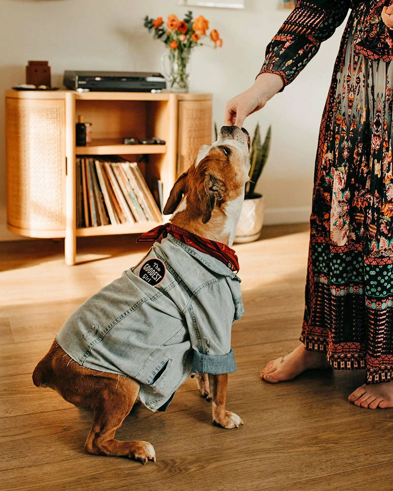 Oxford Pennant Pins + Patches The Goodest Girl Dog Patch 3 Oxford Pennant Pins + Patches The Goodest Girl Dog Patch