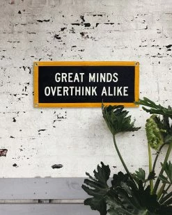 Oxford Pennant Great Minds Overthink Alike Felt Flag Banner
