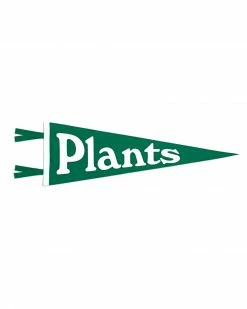 Valley Cruise Press Home Plants Pennant