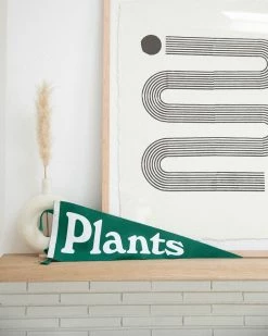 Valley Cruise Press Home Plants Pennant