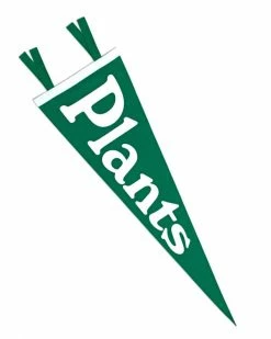 Valley Cruise Press Home Plants Pennant