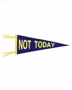 Explorer's Press Not Today Felt Pennant Home