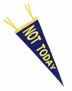 Explorer's Press Not Today Felt Pennant Home