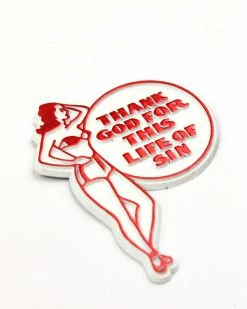Sidewinder Goods Thank God For This Life Of Sin Magnet Unique Gifts + Fun Finds
