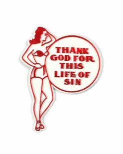 Sidewinder Goods Thank God For This Life Of Sin Magnet Unique Gifts + Fun Finds