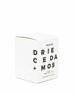 True Hue Dried Cedar + Moss Mini Scented Soy Candle (2oz) Home