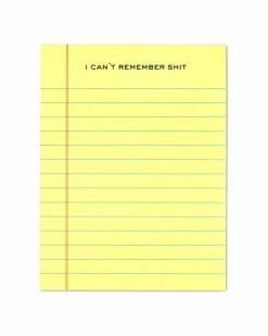 Terrapin Stationers Greeting Cards + Office Supplies I Can't Remember Shit Notepad