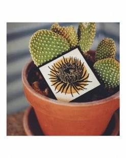 Sidewinder Goods Queen Of The Night Orchid Cactus Patch Embroidered Patches