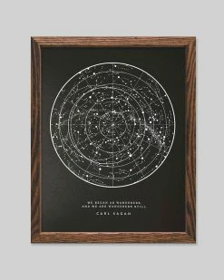 The Wild Wander Carl Sagan Wanderers Star Chart Screenprint Art Print (11" X 14") Indie Art Prints 6 The Wild Wander Carl Sagan Wanderers Star Chart Screenprint Art Print (11