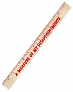 Hungry Ghost Press Unique Gifts + Fun Finds Disappointments Ruler