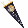 Oxford Pennant Wall Banners + Pennants Connecticut State Pennant